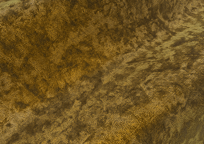 Cyrus Crushed Velvet, Golden - Roman Blind - Image 4